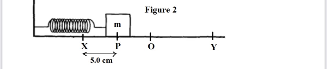 Figure 2
X
P
Y
5.0 cm
