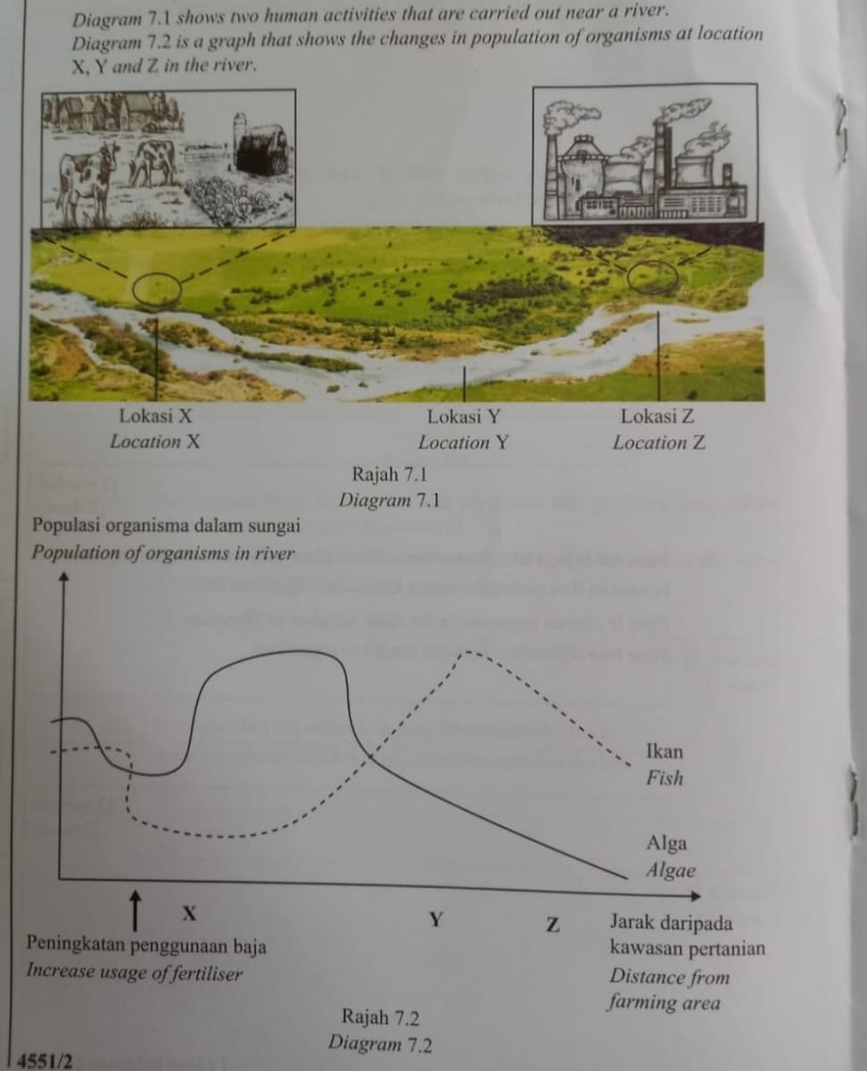 Diagram 7.1 shows two human activities that are carried out near a river.
Diagram 7.2 is a graph that shows the changes in population of organisms at location
X, Y and Z in the river.
Lokasi X
Lokasi Y
Lokasi Z
Location X
Location Y
Location Z
Rajah 7.1
Diagram 7.1
Populasi organisma dalam sungai
Population of organisms in river
Ikan
Fish
Alga
Algae
Jarak daripada
kawasan pertanian
Distance from
farming area
Y
Peningkatan penggunaan baja
Increase usage of fertiliser
Rajah 7.2
Diagram 7.2
4551/2
