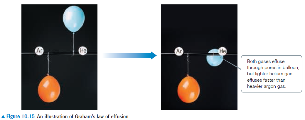 Ar
He
Ar
He
Both gases effuse
through pores in balloon,
but lighter helium gas
effuses faster than
heavier argon gas.
A Figure 10.15 An illustration of Graham's law of effusion.

