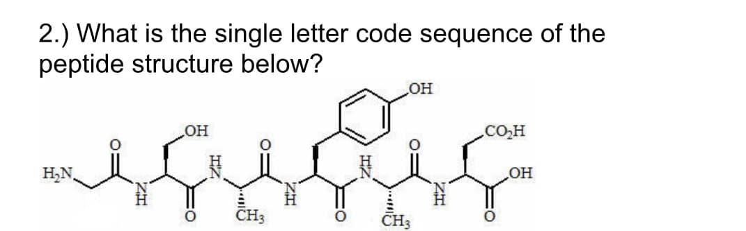 2.) What is the single letter code sequence of the
peptide structure below?
HO
HO
CO.H
H,N,
он
CH3
CH3
