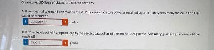 On average, 180 liters of plasma are filtered each day.
A If humans had to expend one molecule of ATP for every molecule of water retained, approximately how many molecules of ATP
would be required?
6.022x10*27
moles
B. If 36 molecules of ATP are produced by the aerobic catabolism of one molecule of glucose, how many grams of glucose would be
required?
Sx10^4
grams
