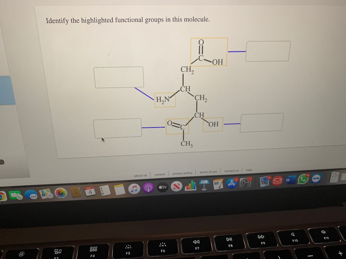 Identify the highlighted functional groups in this molecule.
HO-
CH2
.CH
H,N
CH,
CH
HO
ČH;
terms of use
contact us
help
careers
privacy policy
about us
tv
4.
DD
DII
F1
F10
F9
80
888
F8
F7
F6
F5
F4

