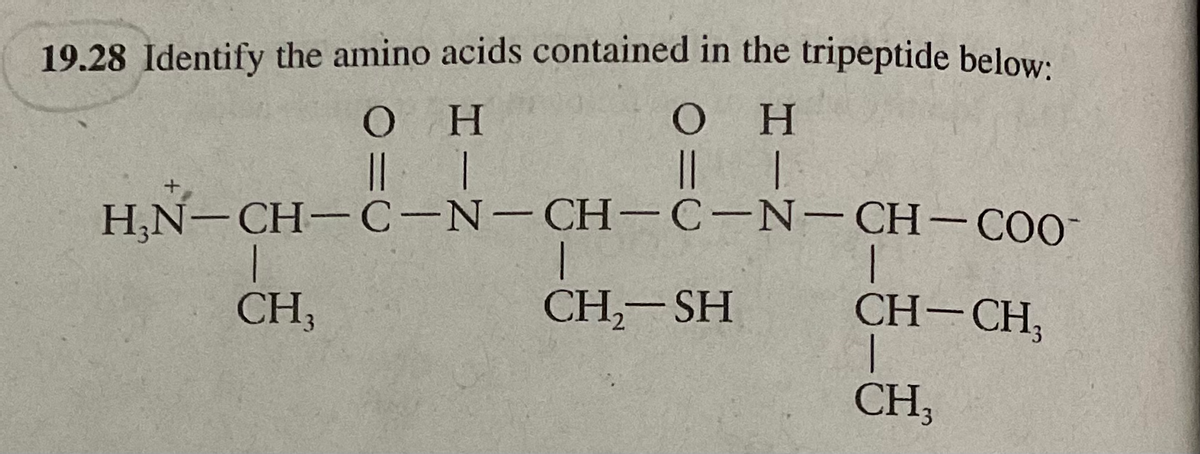 19.28 Identify the amino acids contained in the tripeptide below:
Ο
Η
H
Η
||
|
O Ο
|| |
H₂N-CH-C-N-CH-C-N-CH-COO-
CH₂ SH
CH,
1
CH-CH₂
T
CH,