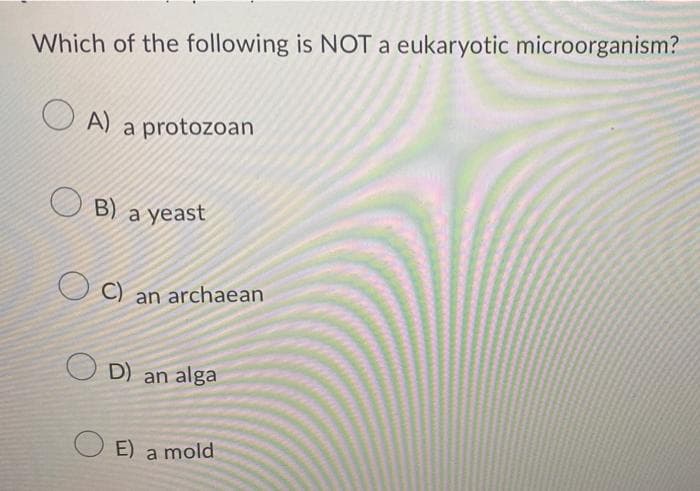 Which of the following is NOT a eukaryotic microorganism?
A) a protozoan
B) a yeast
OC) an archaean
D) an alga
E) a mold