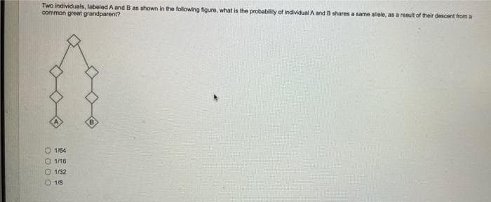 Two individuals, labeled A and B as shown in the following figure, what is the probability of individual A and B shares a same allele, as a result of their descent from a
common great grandparent?
B
1/64
1/16
1/32
1/8
