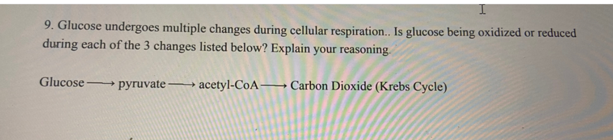 9. Glucose undergoes multiple changes during cellular respiration.. Is glucose being oxidized or reduced
during each of the 3 changes listed below? Explain your reasoning.
Glucose
рyruvate
►acetyl-CoA–→ Carbon Dioxide (Krebs Cycle)
