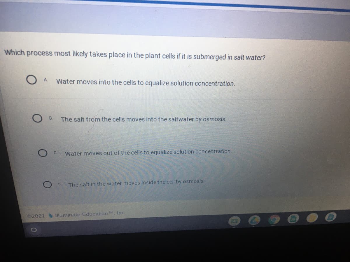 Which process most likely takes place in the plant cells if it is submerged in salt water?
A.
Water moves into the cells to equalize solution concentration.
B.
The salt from the cells moves into the saltwater by osmosis.
Water moves out of the cells to equalize solution concentration.
The salt in the water moves inside the cell by osmosis.
02021 lluminate Education TM, Inc
