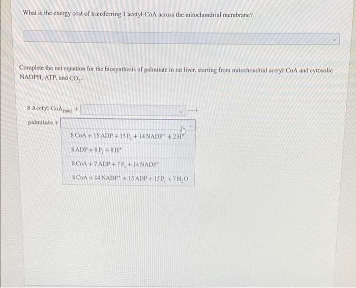 What is the encrgy cost of transferring 1 acetyl-CoA across the mitochondrial membrane?
Complete the net cquation for the biosynthesis of palmitate in rat liver, starting from mitochondrial acetyl-CoA and cytosolic
NADPH, ATP, and Co,.
8 Acetyl-CoAmit)
palmitate +
8 CoA + 15 ADP + 15P,+ 14 NADP +2H
8 ADP+8P + 8H
8 CoA +7 ADP+7P +14 NADP
8 COA + 14 NADP + 15 ADP +15P +7H,0
