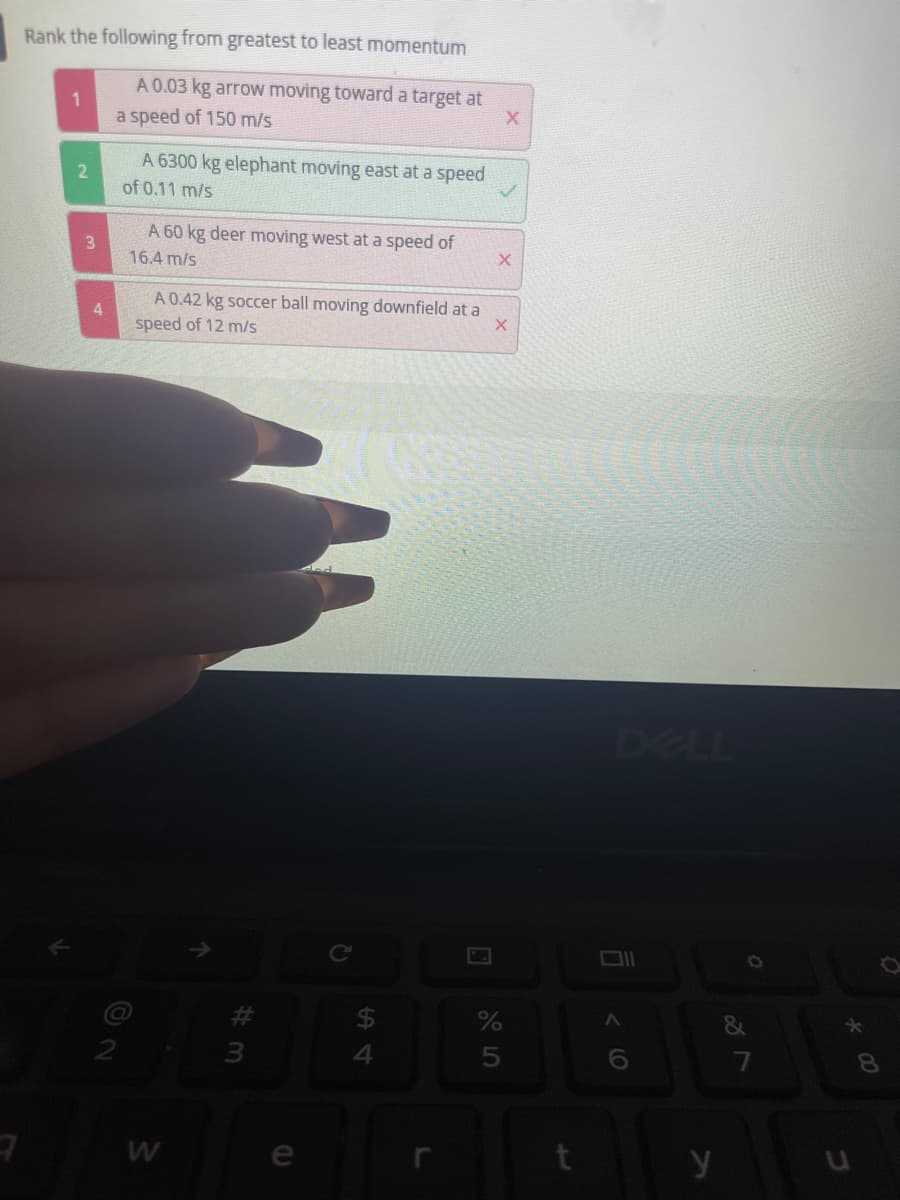 ㅋ
Rank the following from greatest to least momentum
1
A 0.03 kg arrow moving toward a target at
a speed of 150 m/s
A 6300 kg elephant moving east at a speed
of 0.11 m/s
A 60 kg deer moving west at a speed of
16.4 m/s
X
A 0.42 kg soccer ball moving downfield at a
speed of 12 m/s
X
#
%
5
2
3
4
W
3
4
n
L
X
A
6
y
7
*00
O
8