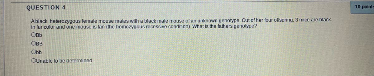 QUESTION 4
10 points
Ablack heterozygous female mouse mates with a black male mouse of an unknown genotype. Out of her four offspring, 3 mice are black
in fur color and one mouse is tan (the homozygous recessive condition). What is the fathers genotype?
OBb
OBB
Obb
OUnable to be determined
