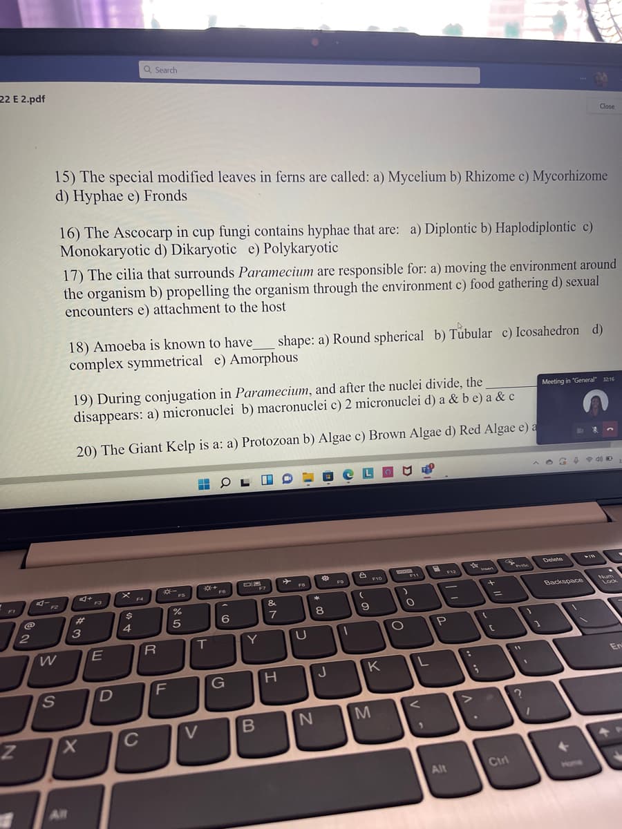 Q Search
22 E 2.pdf
Close
15) The special modified leaves in ferns are called: a) Mycelium b) Rhizome c) Mycorhizome
d) Hyphae e) Fronds
16) The Ascocarp in cup fungi contains hyphae that are: a) Diplontic b) Haplodiplontic c)
Monokaryotic d) Dikaryotic e) Polykaryotic
17) The cilia that surrounds Paramecium are responsible for: a) moving the environment around
the organism b) propelling the organism through the environment c) food gathering d) sexual
encounters e) attachment to the host
18) Amoeba is known to have
complex symmetrical e) Amorphous
shape: a) Round spherical b) Tubular c) Icosahedron d)
19) During conjugation in Paramecium, and after the nuclei divide, the
disappears: a) micronuclei b) macronuclei c) 2 micronuclei d) a & b e) a & c
Meeting in "General" 32:16
20) The Giant Kelp is a: a) Protozoan b) Algae c) Brown Algae d) Red Algae e) a
Delete
*-
FS
**+
F6
F10
F12
FO
F11
F7
FB
F3
F4
F2
F1
Backspace
Num
Lock
1
&.
%23
%24
7
3
4
En
J
K
F
G
V
Alt
Ctrl
HanA
AR
ト
טא
C3
D.
SI
