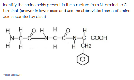 Identify the amino acids present in the structure from N terminal to C
terminal. (answer in lower case and use the abbreviated name of amino
acid separated by dash)
н он
N-C-C-N-
H
N-C-C
СООН
H
H CH2
Your answer
