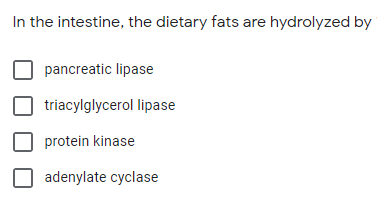 In the intestine, the dietary fats are hydrolyzed by
pancreatic lipase
triacylglycerol lipase
protein kinase
adenylate cyclase
