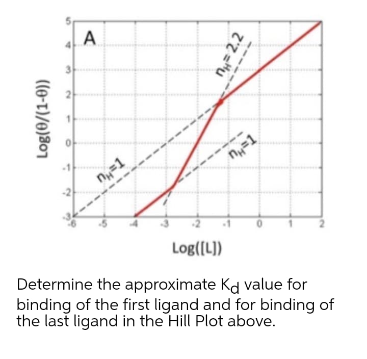 A.
n,=1
n=1
-----.
-2
Log([L))
Determine the approximate Kd value for
binding of the first ligand and for binding of
the last ligand in the Hill Plot above.
2.
3.
2.
Log(0/(1-0))
n= 2.2
