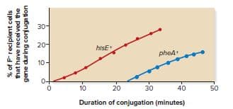 30-
20-
hisE
phe4
10
0+
10
20
30
40
50
Duration of conjugation (minutes)
% of Freciplent cells
that have recel ved the
gene during corjuga tion

