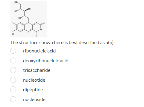 HO
HO
OH
HO
The structure shown here is best described as a(n)
ribonucleic acid
deoxyribonucleic acid
trisaccharide
nucleotide
dipeptide
nucleoside