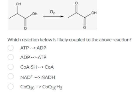 OH
0₂
OH
OH
Which reaction below is likely coupled to the above reaction?
ATP --> ADP
ADP --> ATP
OCOA-SH--> COA
ONAD+ --> NADH
CoQ10 --> CoQ10H2