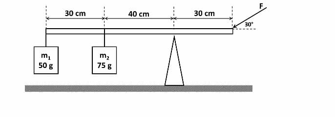 30 cm
30 cm
40 cm
30°
m,
m2
50 g
75 g
