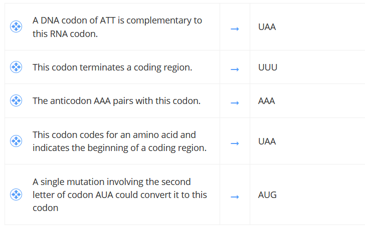 A DNA codon of ATT is complementary to
UAA
this RNA codon.
This codon terminates a coding region.
UUU
The anticodon AAA pairs with this codon.
AAA
This codon codes for an amino acid and
UAA
indicates the beginning of a coding region.
A single mutation involving the second
letter of codon AUA could convert it to this
AUG
codon
