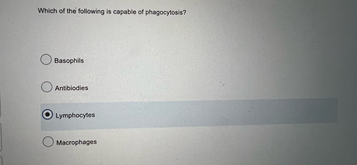 Which of the following is capable of phagocytosis?
Basophils
Antibiodies
Lymphocytes
Macrophages