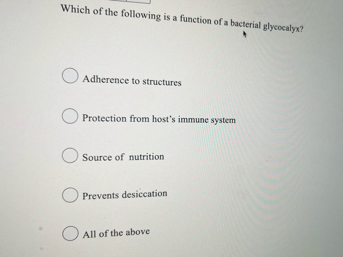 Which of the following is a function of a bacterial glycocalyx?
Adherence to structures
Protection from host's immune system
Source of nutrition
Prevents desiccation
All of the above