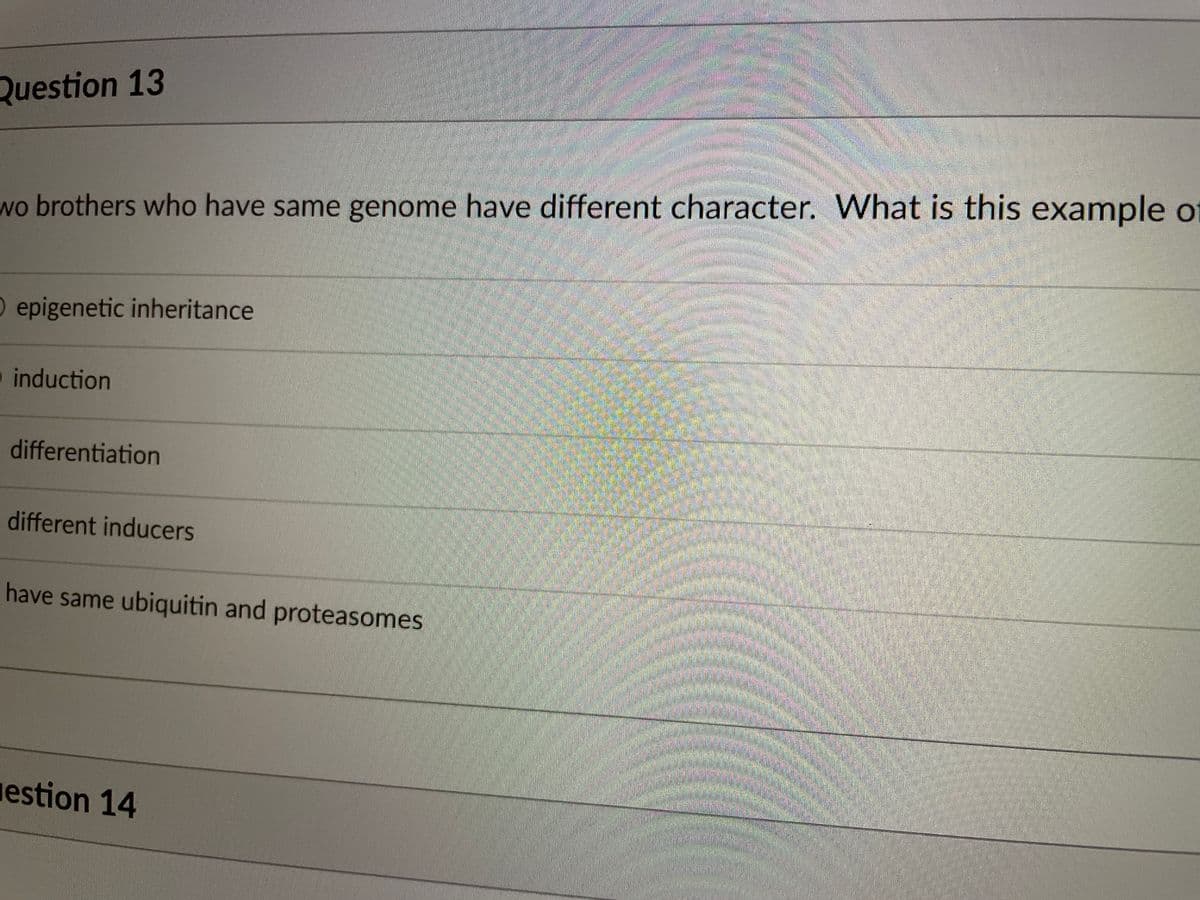 Question 13
wo brothers who have same genome have different character. What is this example of
nall 销供
O epigenetic inheritance
induction
differentiation
different inducers
have same ubiquitin and proteasomes
estion 14
