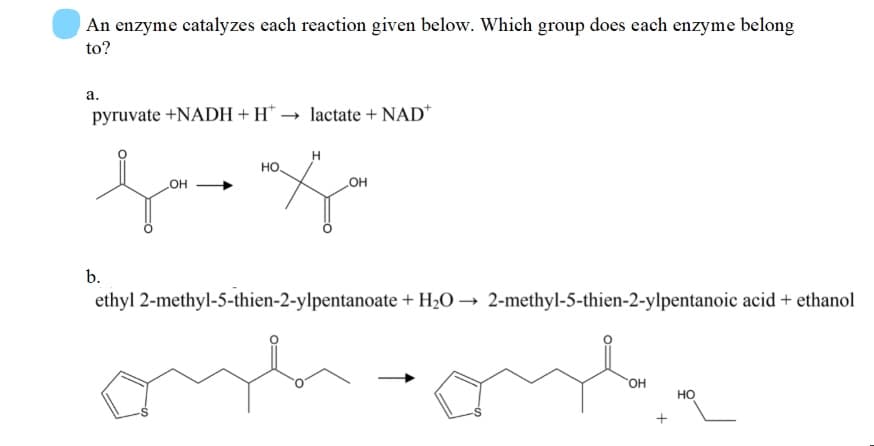 An enzyme catalyzes each reaction given below. Which group does each enzyme belong
to?
а.
pyruvate +NADH + H* → lactate + NAD*
но.
он
он
b.
ethyl 2-methyl-5-thien-2-ylpentanoate + H2O → 2-methyl-5-thien-2-ylpentanoic acid + ethanol
OH
но
