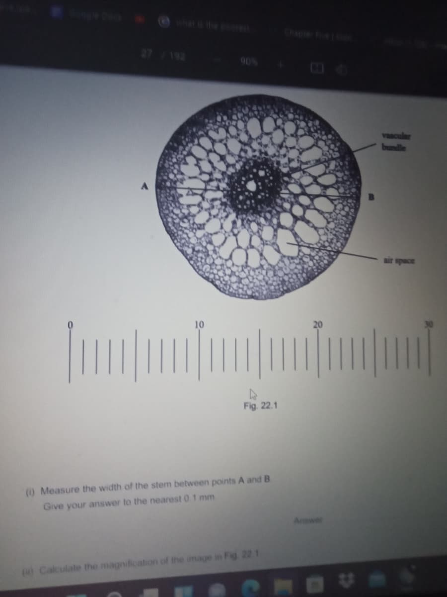 Chapter Fe
27 192
90%
bundle
air space
10
Fig. 22.1
(1) Measure the width of the stem between points A and B
Give your answer to the nearest 0 1 mm.
Answer
() Calculate the magnification of the image in Fig 22 1
6UDO
