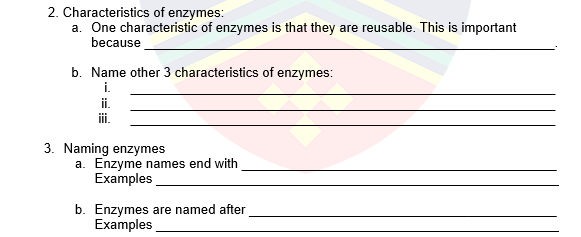 2. Characteristics of enzymes:
a. One characteristic of enzymes is that they are reusable. This is important
because
b. Name other 3 characteristics of enzymes:
i.
i.
i.
3. Naming enzymes
a. Enzyme names end with
Examples
b. Enzymes are named after
Examples
