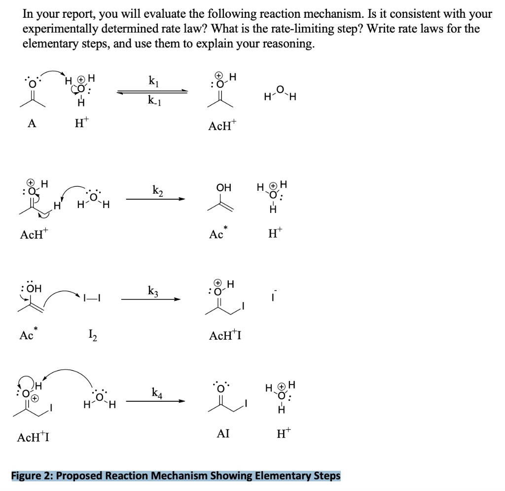 In your report, you will evaluate the following reaction mechanism. Is it consistent with your
experimentally determined rate law? What is the rate-limiting step? Write rate laws for the
elementary steps, and use them to explain your reasoning.
A
H
ACH
: ÖH
Ac
ACHTI
HOH
CO:
Ht
H
1₂
H
H H
k₁
k.1
k₂
k3
K4
ACH
H
OH
Ac
:0
H
ACHTI
AI
H-O-
H
Ht
i
H
HOH
H
Figure 2: Proposed Reaction Mechanism Showing Elementary Steps