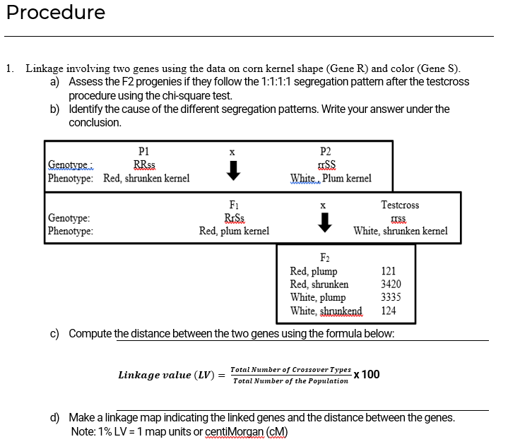 Procedure
1. Linkage involving two genes using the data on corn kernel shape (Gene R) and color (Gene S).
a) Assess the F2 progenies if they follow the 1:1:1:1 segregation pattern after the testcross
procedure using the chi-square test.
b) Identify the cause of the different segregation patterns. Write your answer under the
conclusion.
P1
P2
Genotype.
Phenotype: Red, shrunken kernel
RRSS
White. Plum kernel
F1
RISS
Red, plum kernel
Testcross
Genotype:
Phenotype:
White, shrunken kernel
F2
Red, plump
Red, shrunken
White, plump
White, shrunkend
121
3420
3335
124
c) Compute the distance between the two genes using the formula below:
Total Number of Crossover Types y 100
Linkage value (LV) = Total Number of the Population
d) Make a linkage map indicating the linked genes and the distance between the genes.
Note: 1% LV = 1 map units or centiMorgan (cM)
