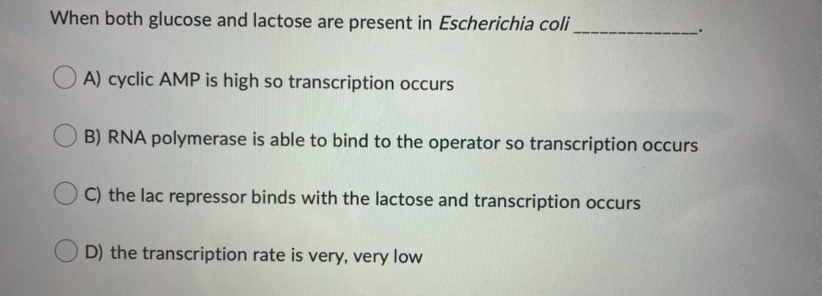 When both glucose and lactose are present in Escherichia coli
A) cyclic AMP is high so transcription occurs
O B) RNA polymerase is able to bind to the operator so transcription occurs
C) the lac repressor binds with the lactose and transcription occurs
O D) the transcription rate is very, very low
