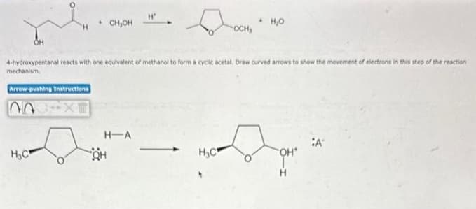 Arrow-pushing Instructions
303 X
H₂C
CH₂OH
4-hydroxypentanal reacts with one equivalent of methanol to form a cyclic acetal. Draw curved arrows to show the movement of electrons in this step of the reaction
mechanism.
H-A
QH
OCH₂
H₂C
D
H₂O
"OH*
H
:A