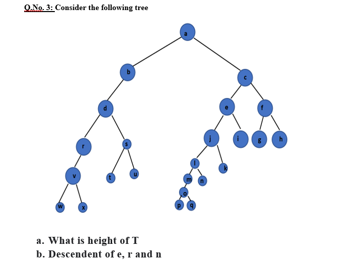 O.No. 3: Consider the following tree
a. What is height of T
b. Descendent of e, r and n
