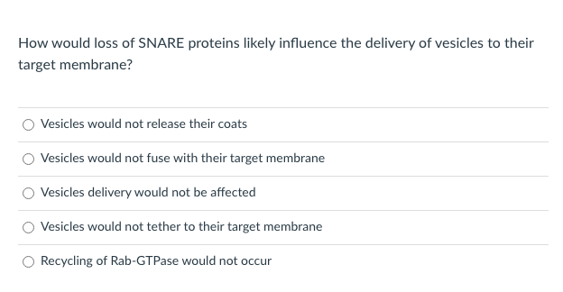 How would loss of SNARE proteins likely influence the delivery of vesicles to their
target membrane?
Vesicles would not release their coats
Vesicles would not fuse with their target membrane
Vesicles delivery would not be affected
Vesicles would not tether to their target membrane
Recycling of Rab-GTPase would not occur
