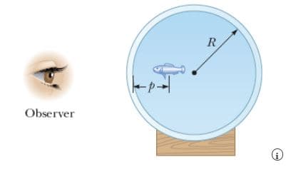 R
Observer
i.
