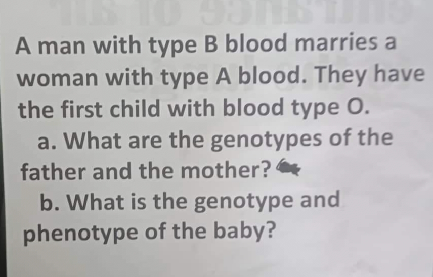 A man with type B blood marries a
woman with type A blood. They have
the first child with blood type O.
a. What are the genotypes of the
father and the mother?
b. What is the genotype and
phenotype of the baby?