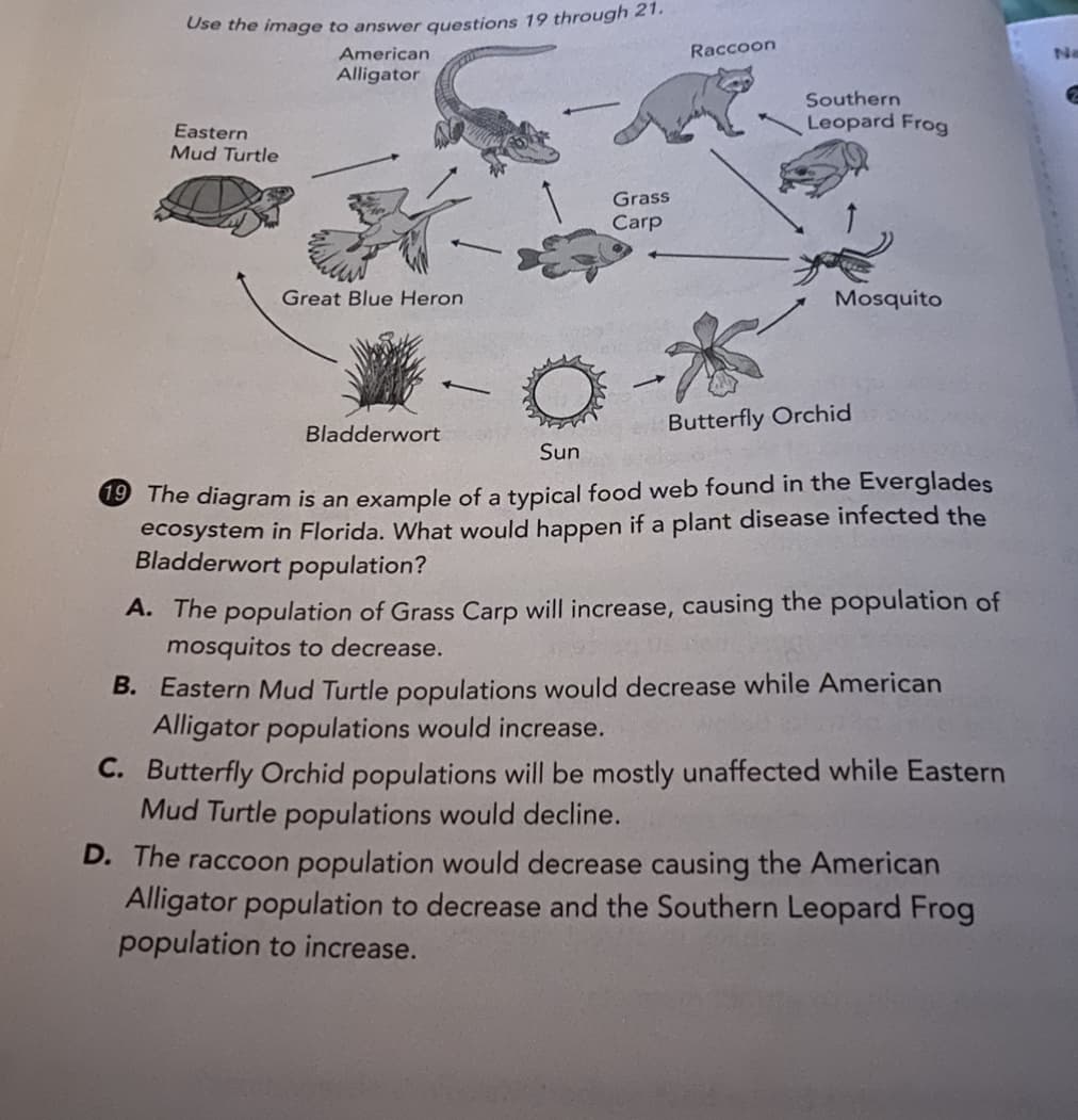 Ose the image to answer questions 19 through 21.
American
Raccoon
Na
Alligator
Southern
Leopard Frog
Eastern
Mud Turtle
Grass
Carp
Great Blue Heron
Mosquito
Bladderwort
Butterfly Orchid
Sun
9 The diagram is an example of a typical food web found in the Everglades
ecosystem in Florida. What would happen if a plant disease infected the
Bladderwort population?
A. The population of Grass Carp will increase, causing the population of
mosquitos to decrease.
B. Eastern Mud Turtle populations would decrease while American
Alligator populations would increase.
C. Butterfly Orchid populations will be mostly unaffected while Eastern
Mud Turtle populations would decline.
D. The raccoon population would decrease causing the American
Alligator population to decrease and the Southern Leopard Frog
population to increase.
