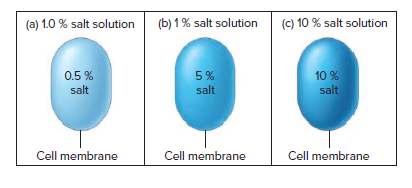 (a) 1.0 % salt solution
(b) 1% salt solution
(C) 10 % salt solution
10 %
salt
0.5 %
5 %
salt
salt
Cell membrane
Cell membrane
Cell membrane
