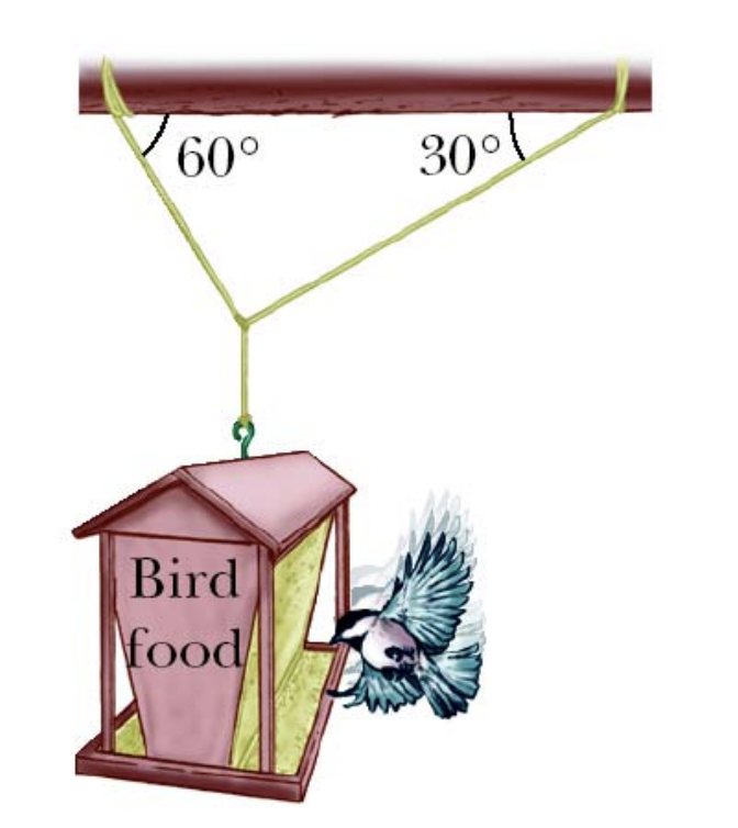 60°
Bird
food
30°