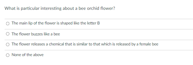 What is particular interesting about a bee orchid flower?
O The main lip of the flower is shaped like the letter B
O The flower buzzes like a bee
O The flower releases a chemical that is similar to that which is released by a female bee
O None of the above
