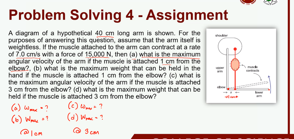 COLLEGE
1904
Problem Solving 4 - Assignment
A diagram of a hypothetical 40 cm long arm is shown. For the
purposes of answering this question, assume that the arm itself is
weightless. If the muscle attached to the arm can contract at a rate
of 7.0 cm/s with a force of 15,000 N, then (a) what is the maximum
angular velocity of the arm if the muscle is attached 1 cm from the
elbow?, (b) what is the maximum weight that can be held in the
hand if the muscle is attached 1 cm from the elbow? (c) what is
the maximum angular velocity of the arm if the muscle is attached
3 cm from the elbow? (d) what is the maximum weight that can be
held if the muscle is attached 3 cm from the elbow?
shoulder
muscle
contracts
upper
arm
elbow
lower
arm
-leme
(a) Wmek =?
(6) Wmae =?
(c) Wmes = ?
(d) Wwae = ?
%3D
Max
@ 3 cm
@ lcm
