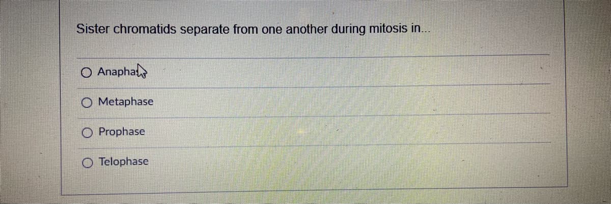 Sister chromatids separate from one another during mitosis in...
Anapha
O Metaphase
O Prophase
Telophase
