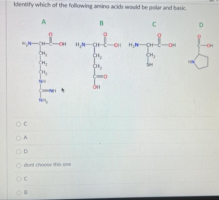 Identify which of the following amino acids would be polar and basic.
H,N-CH-
H,N-CH-C-OH
H,N-
CH-
OH
OH
CH,
CH2
CH2
HN
CH2
CH2
CH,
SH
NH
C=NH
NH2
O A
dont choose this one
