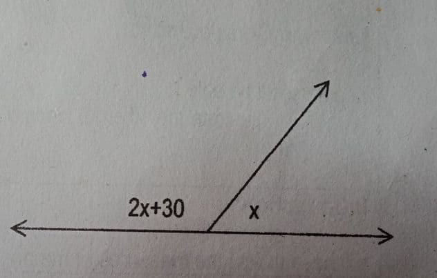 2x+30
X.
