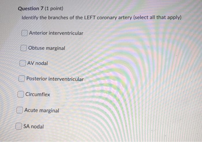 Question 7 (1 point)
Identify the branches of the LEFT coronary artery (select all that apply)
Anterior interventricular
Obtuse marginal
AV nodal
Posterior interventricular
Circumflex
Acute marginal
SA nodal
