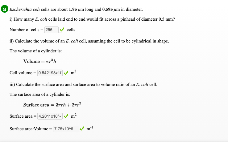 a Escherichia coli cells are about 1.95 µm long and 0.595 µm in diameter.
i) How many E. coli cells laid end to end would fit across a pinhead of diameter 0.5 mm?
Number of cells = 256
cells
ii) Calculate the volume of an E. coli cell, assuming the cell to be cylindrical in shape.
The volume of a cylinder is:
Volume = ar²h
Cell volume = 0.542198x10 / m³
iii) Calculate the surface area and surface area to volume ratio of an E. coli cell.
The surface area of a cylinder is:
Surface area = 2arh + 2rr²
Surface area = 4.2011x10^- / m²
Surface area:Volume = 7.75x10^6
