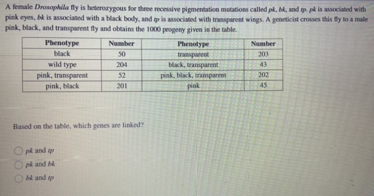 A female Drosophila fly is heterozygous for three recessive pigmentation mutations called pk, bk, and tp. pk is associated with
pink eyes, bk is associated with a black body, and tp is associated with transparent wings. A geneticist crosses this fly to a male
pink, black, and transparent fly and obtains the 1000 progeny given in the table.
Phenotype
Number
Phenotype
Number
black
50
transparent
203
wild type
204
black, transparent
pink, black, transparent
43
pink, transparent
pink, black
52
202
201
pink
45
Based on the table, which genes are linked?
O pk and tp
O pk and bk
O bk and tp
