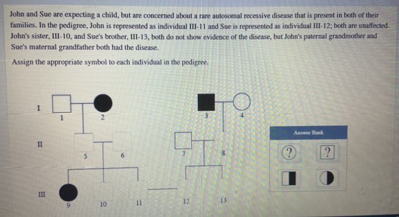 John and Sue are expecting a child, but are concerned about a rare autosomal recessive disease that is present in both of their
families. In the pedigree, John is represented as individual III-11 and Sue is represented as individual III-12; both are unaffected.
John's sister, III-10, and Sue's brother, III-13, both do not show evidence of the disease, but John's paternal grandmother and
Sue's maternal grandfather both had the disease.
Assign the appropriate symbol to each individual in the pedigree.
I
3
4.
Answer Bank
II
III
11
12
13
10
2.
