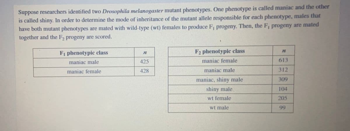 Suppose researchers identified two Drosophila melanogaster mutant phenotypes. One phenotype is called maniac and the other
is called shiny. In order to determine the mode of inheritance of the mutant allele responsible for each phenotype, males that
have both mutant phenotypes are mated with wild-type (wt) females to produce F, progeny. Then, the F, progeny are mated
together and the F2 progeny are scored.
Fi phenotypic class
F2 phenotypic class
maniac male
425
maniac female
613
maniac female
428
maniac male
312
maniac, shiny male
309
shiny male
104
wt female
205
wt male
99
